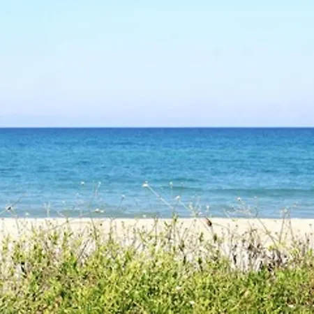 Studio Avec Piscine Partagee Et Terrasse Amenagee A Ocagnano A 4 Km De La Sorbo-Ocagnano