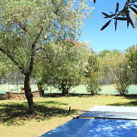 Apartamento Studio Avec Piscine Partagee Et Terrasse Amenagee A Ocagnano A 4 Km De La