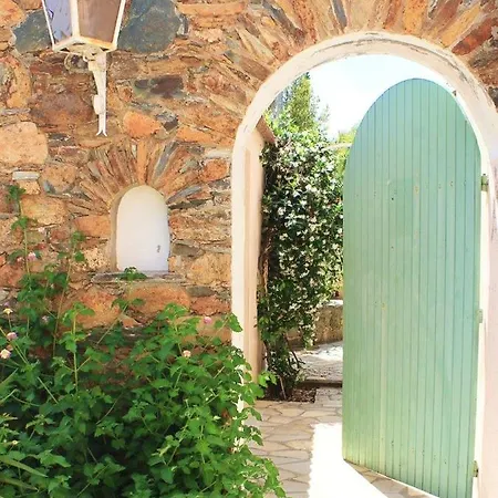 Studio Avec Piscine Partagee Et Terrasse Amenagee A Ocagnano A 4 Km De La