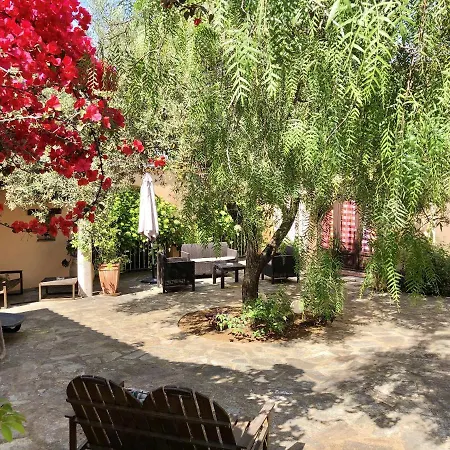 Studio Avec Piscine Partagee Et Terrasse Amenagee A Ocagnano A 4 Km De La * Sorbo-Ocagnano