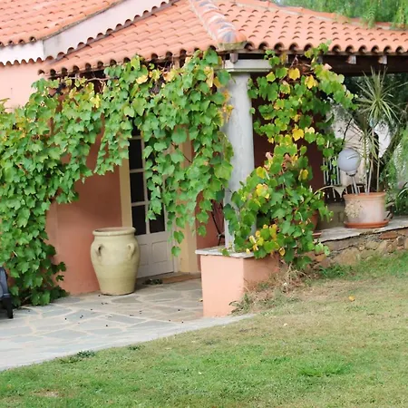 Studio Avec Piscine Partagee Et Terrasse Amenagee A Ocagnano A 4 Km De La
