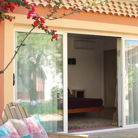 Studio Avec Piscine Partagee Et Terrasse Amenagee A Ocagnano A 4 Km De La *